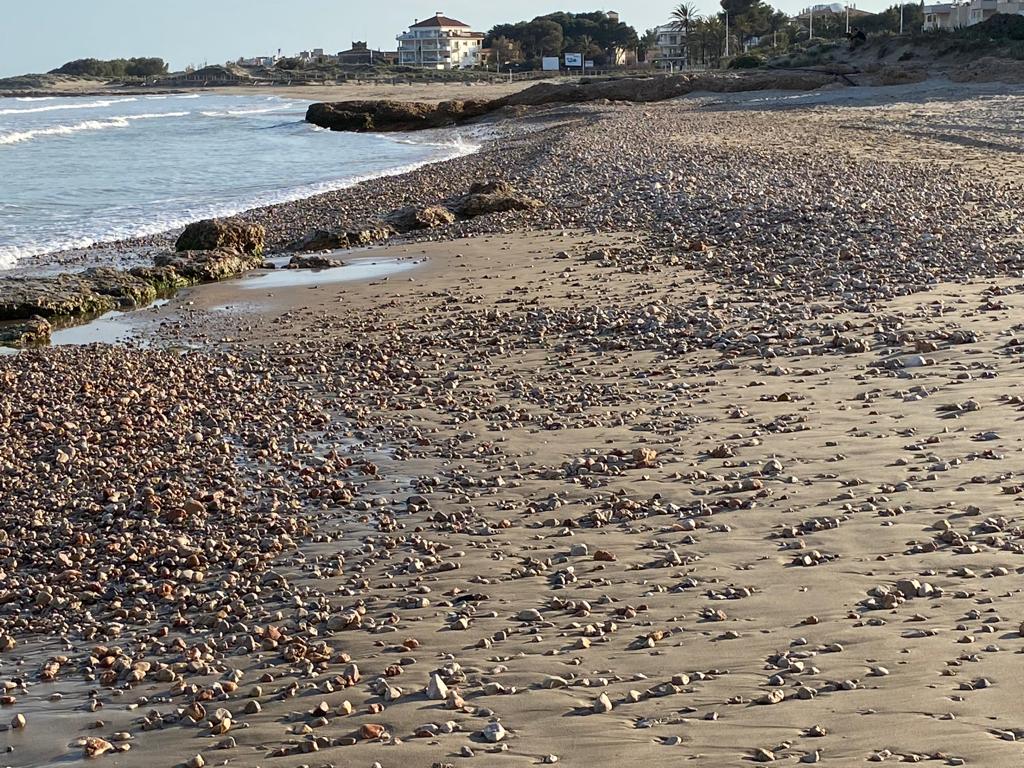 280118460_1850638398465926_1893287864873352465_n