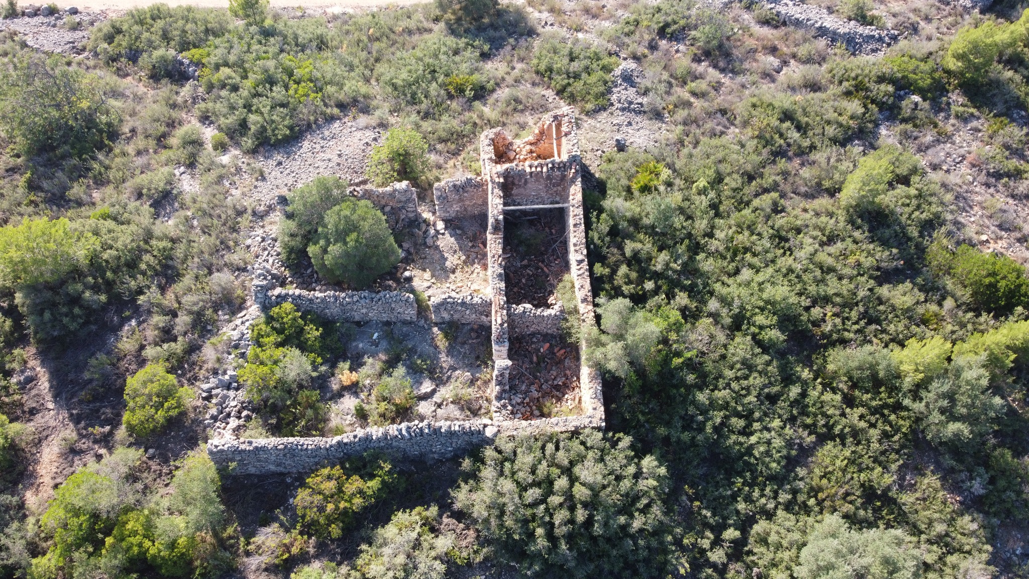 DCIM100MEDIADJI_0313.JPG