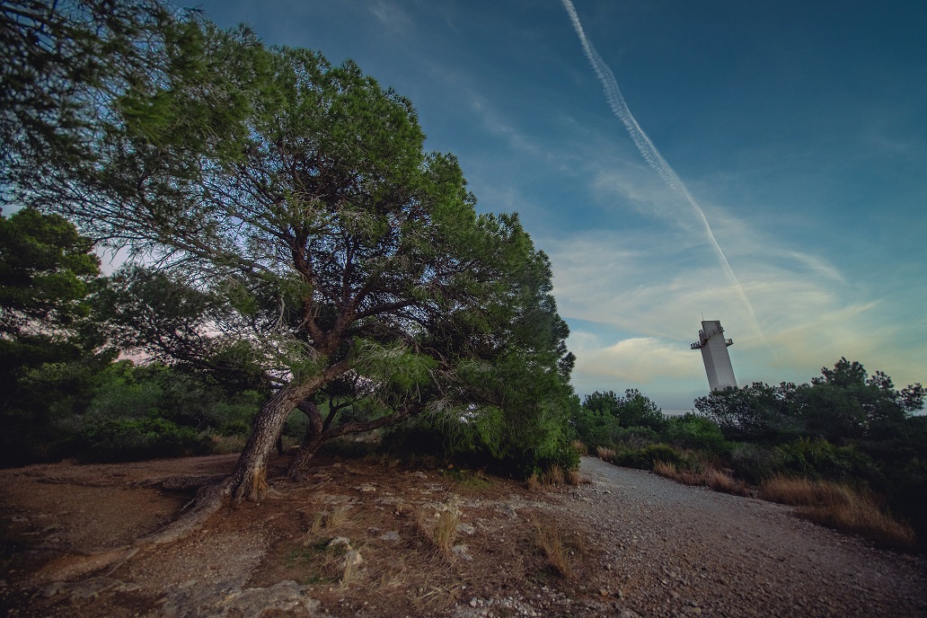 420190009_838091418362166_3132278841380134339_n