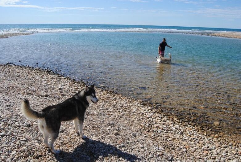 448216726_903471415157499_1989089815884355421_n