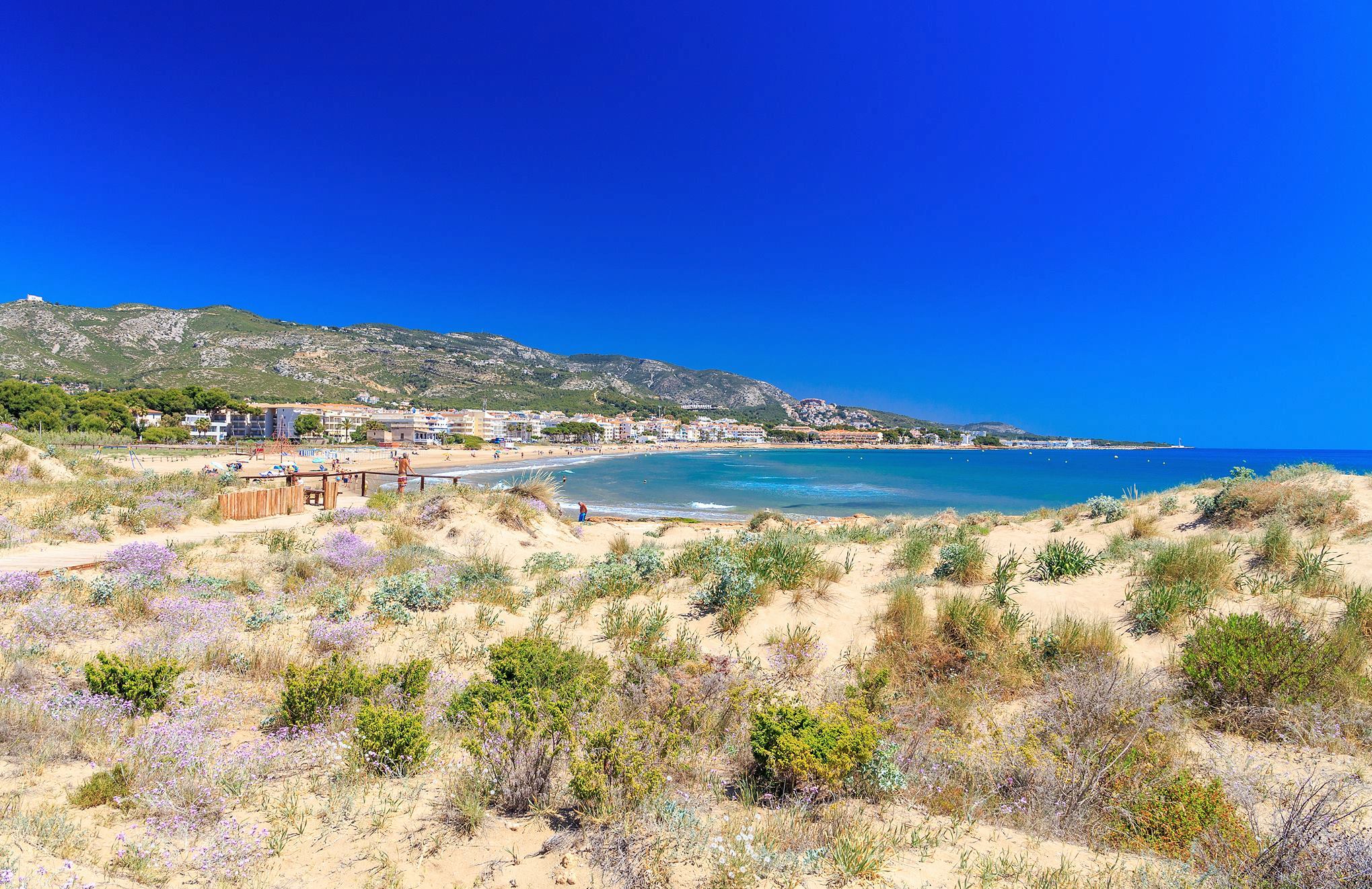 32843105_1773414276027391_4744058628477026304_o