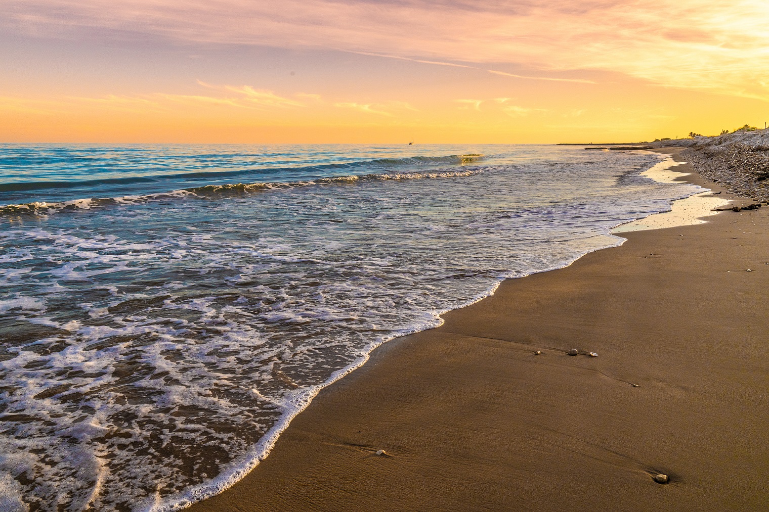 616192969_1401753351995967_8045721157675515094_n